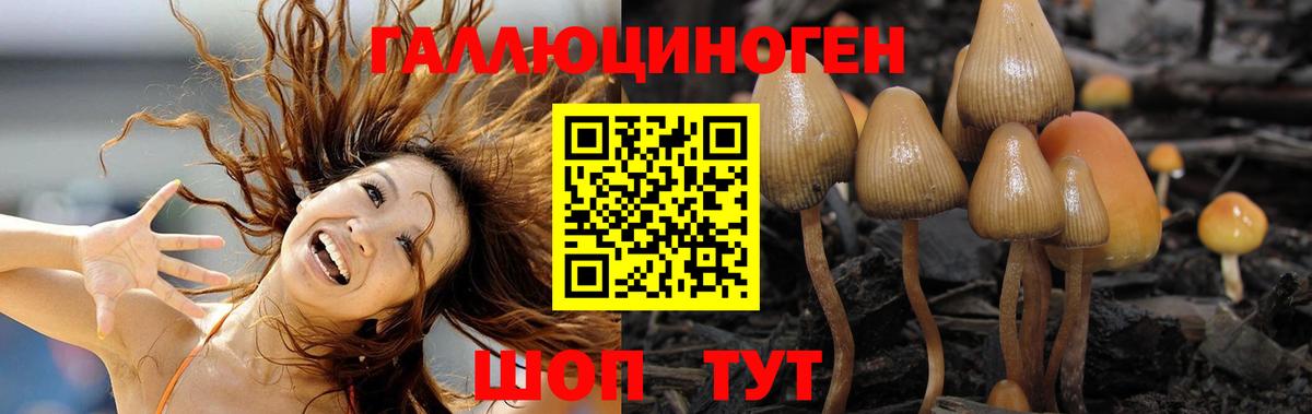 Каменск-Шахтинский  цены   Вход с VPN  Псилоцибиновые грибы Cubensis 